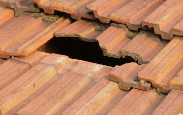 roof repair Holmwrangle, Cumbria